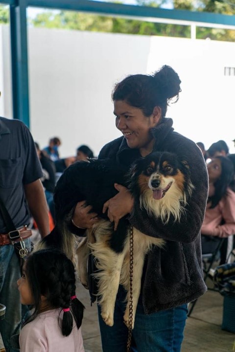 ¡Total éxito en la  CAMPAÑA GRATUITA DE VACUNACIÓN Y ESTERILIZACIÓN